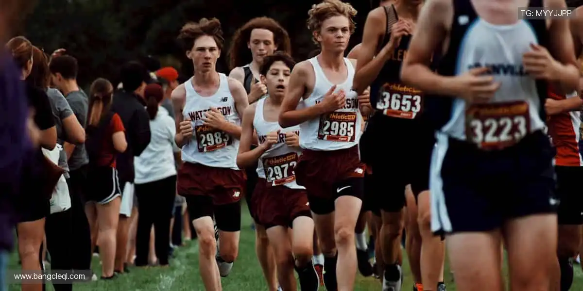 🎧沉浸式解说，让你身临其境！🎯